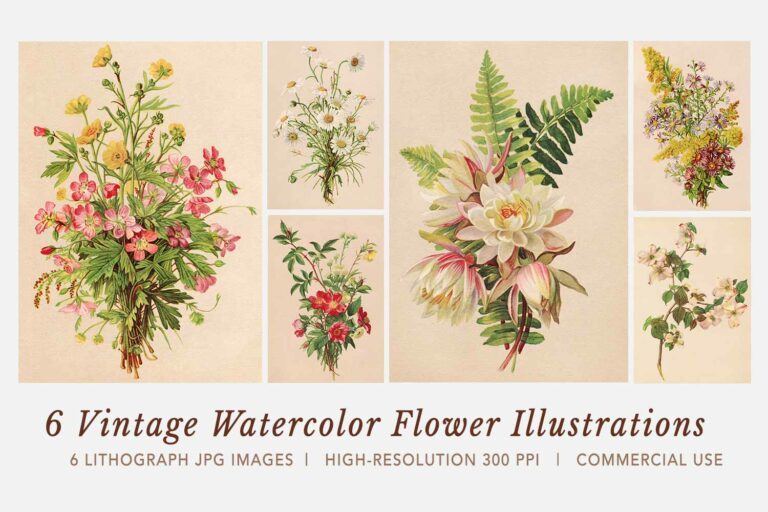 Vintage Watercolor Flower Lithograph Illustrations