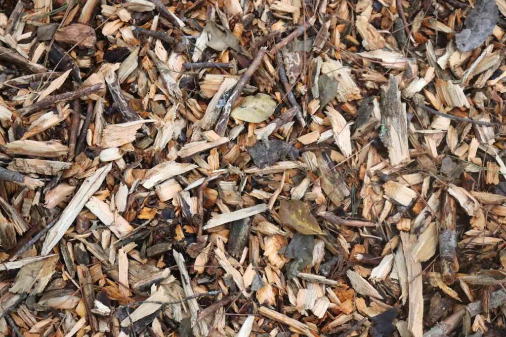 Wood Chips Mulch Texture 1.jpg