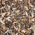 Wood Chips Mulch Texture 1.jpg