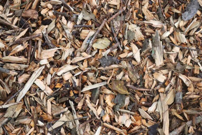 Wood Chips Texture