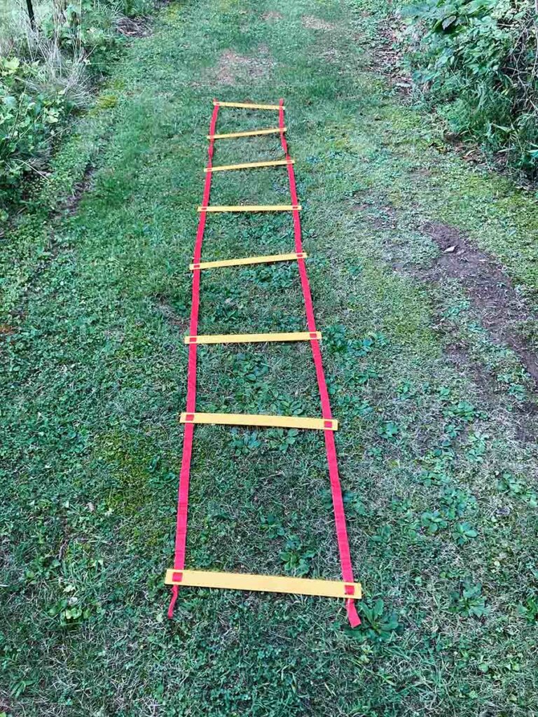 Agility Ladder Stock Photo