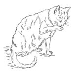Antique Cat Embroidery Pattern Web