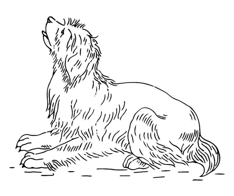 Antique Dog Embroidery Pattern Graphic