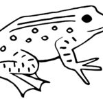 Antique Frog Embroidery Pattern Web Preview