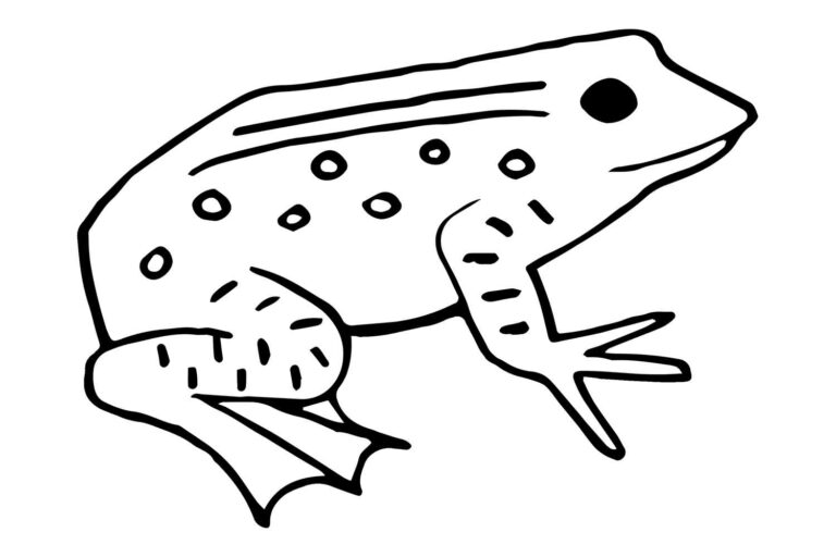 Antique Frog Embroidery Pattern Graphic
