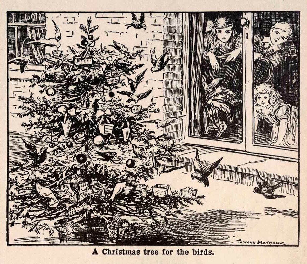 Christmas Tree For The Birds Vintage Maybank Illustration Ephemera Preview