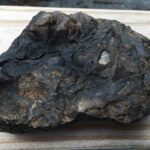 Fossil