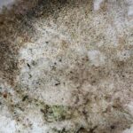 Grunge Bronzing Dust Glitter Texture