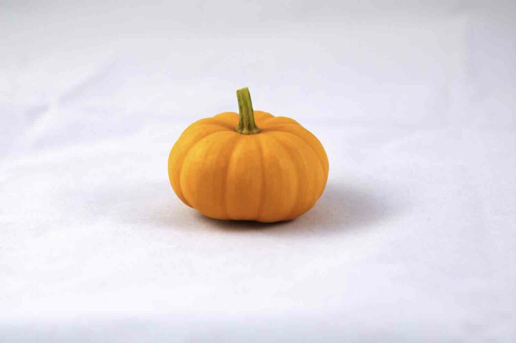 Jack Be Little Pumpkin Webres