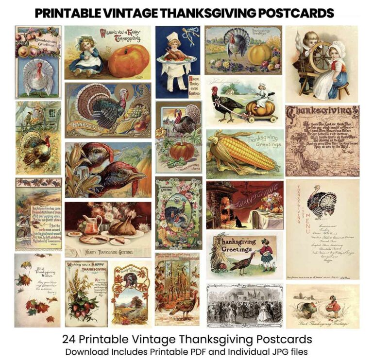 24 Vintage Thanksgiving Post Cards Ephemera