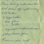 Rhubarb Custard Pie