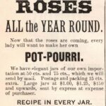 Rose Potpourri