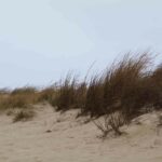 Sanddunes04