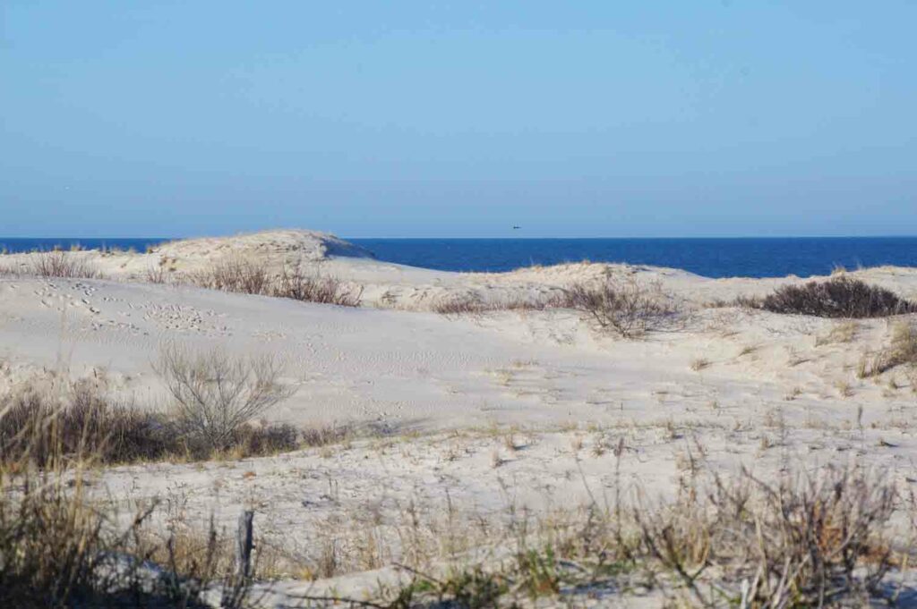 Sanddunesocean