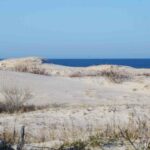 Sanddunesocean