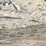 Sandtiretracks