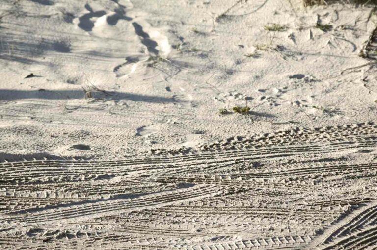 Tire Tracks in the Sand Texture