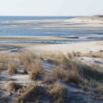 Sandybeachdunes02