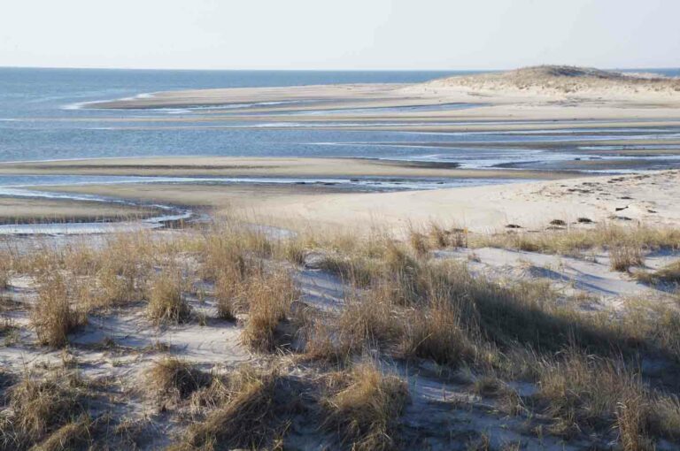 Sand Dunes on the Coast of the Ocean Bay