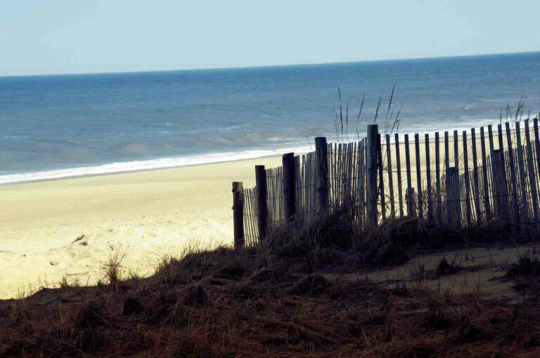 Sandy Beach Fence