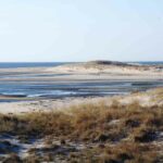 Sandycoastbeach