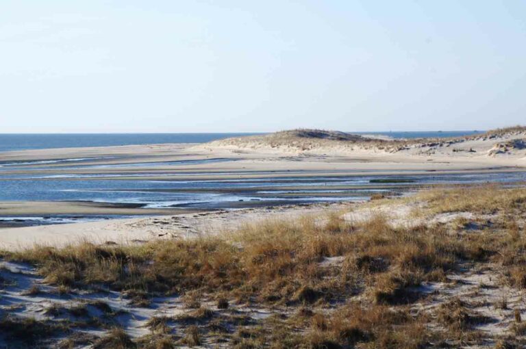 Sandy Coast and Beach
