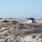 Sandydunesbeach