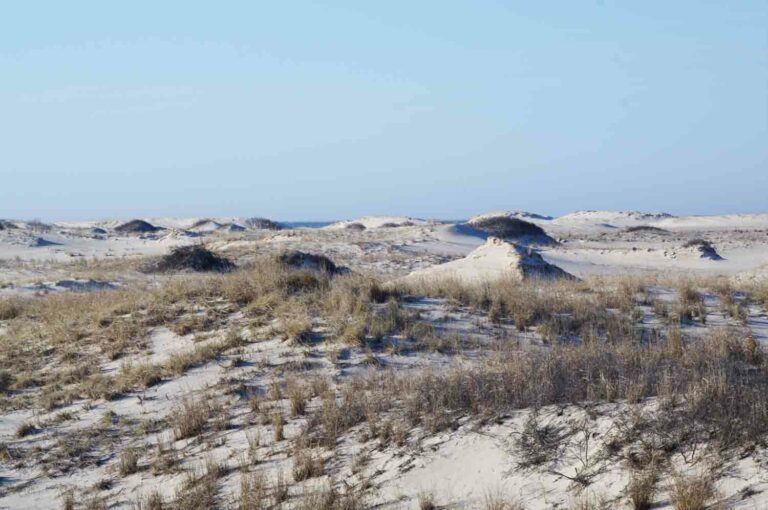 Sandy Dunes Beach
