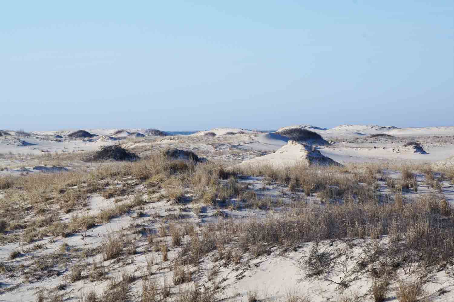 Sandy Dunes Beach - SteinMixedMedia