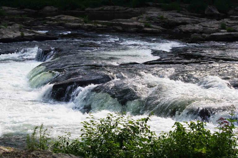 Waterfall of Rocky Stream in the Woods