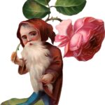 Victorian Gnome With Rose Graphic