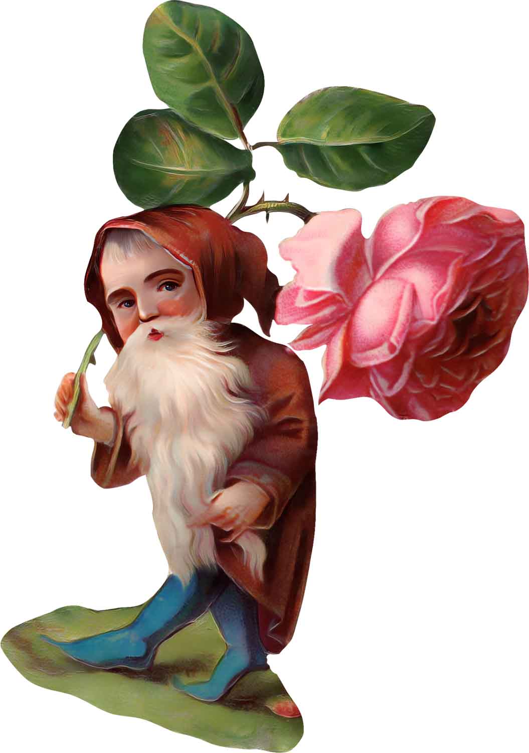 Victorian Gnome With Rose Graphic