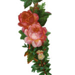 Victorian Scrapbook Flowers Web