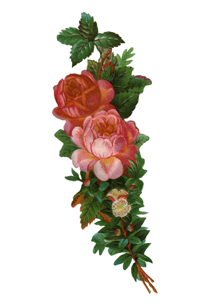 Victorian Scrapbook Flowers Web