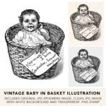 Vintage Baby In Basket Illustration Ephemera