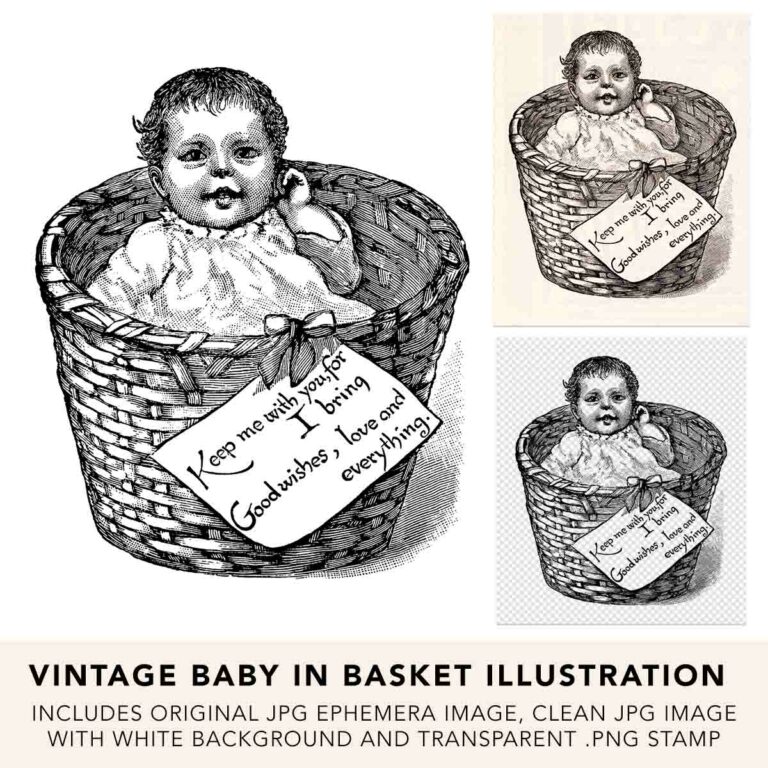 Baby in Basket Vintage Ephemera + Victorian Line Art