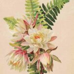 Vintage Watercolor Flowers1