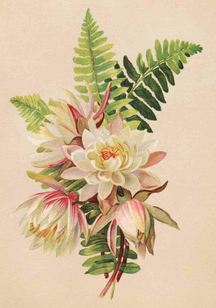 Vintage Watercolor Flowers1