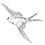 Bird1 Web preview