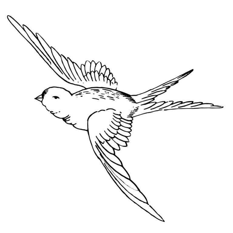 Vintage Bird 01 Coloring Page Embroidery Pattern Design + SVG