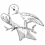 Bird2 Webpreview