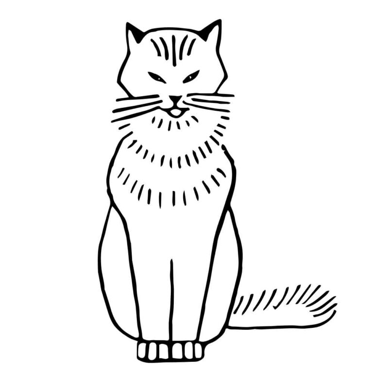 Vintage Cat Coloring Page Embroidery Pattern Design + SVG