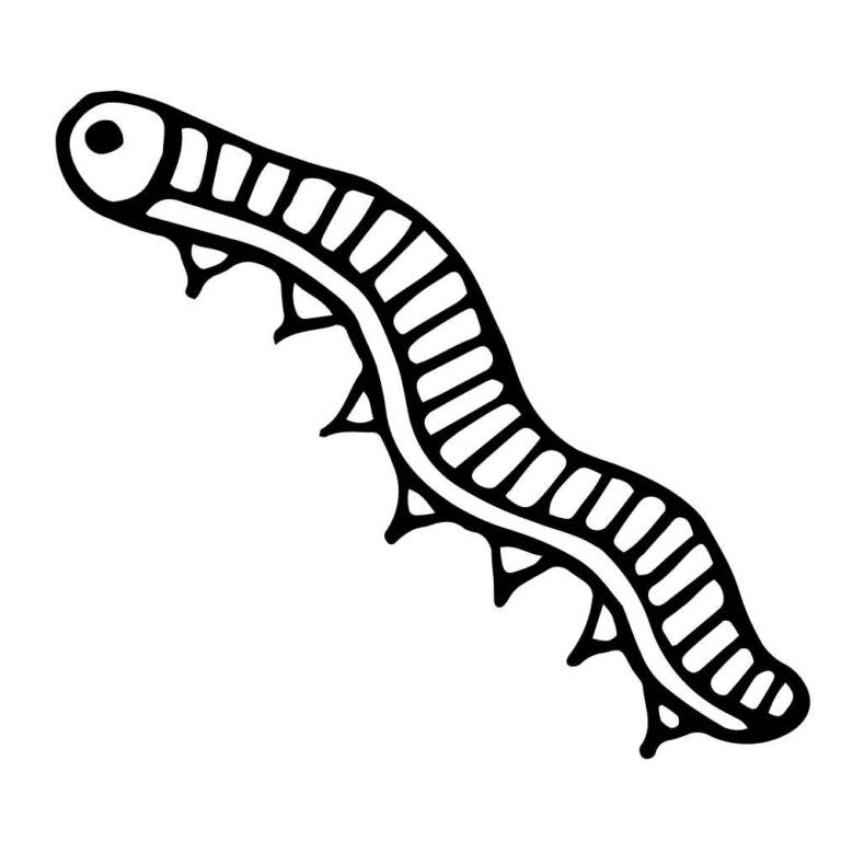 Vintage Caterpillar Coloring Page Embroidery Pattern Design + SVG
