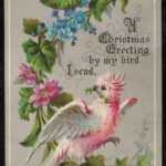 Christmas Greeting Bird Web