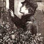 Christmas Victorian Boy With Holly Web