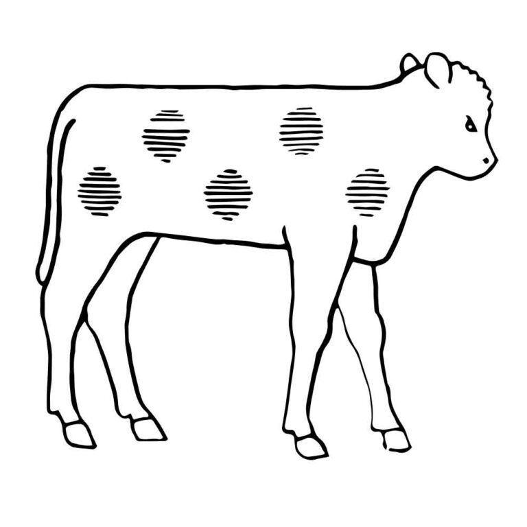 Vintage Cow Coloring Page & Embroidery Pattern Design + SVG