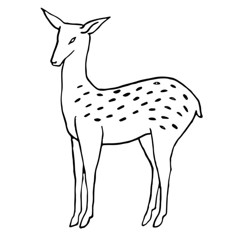 Vintage Deer Coloring Page & Embroidery Pattern Design + SVG