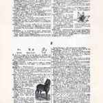 Dictionary Page Letter Z Fwd812 Web