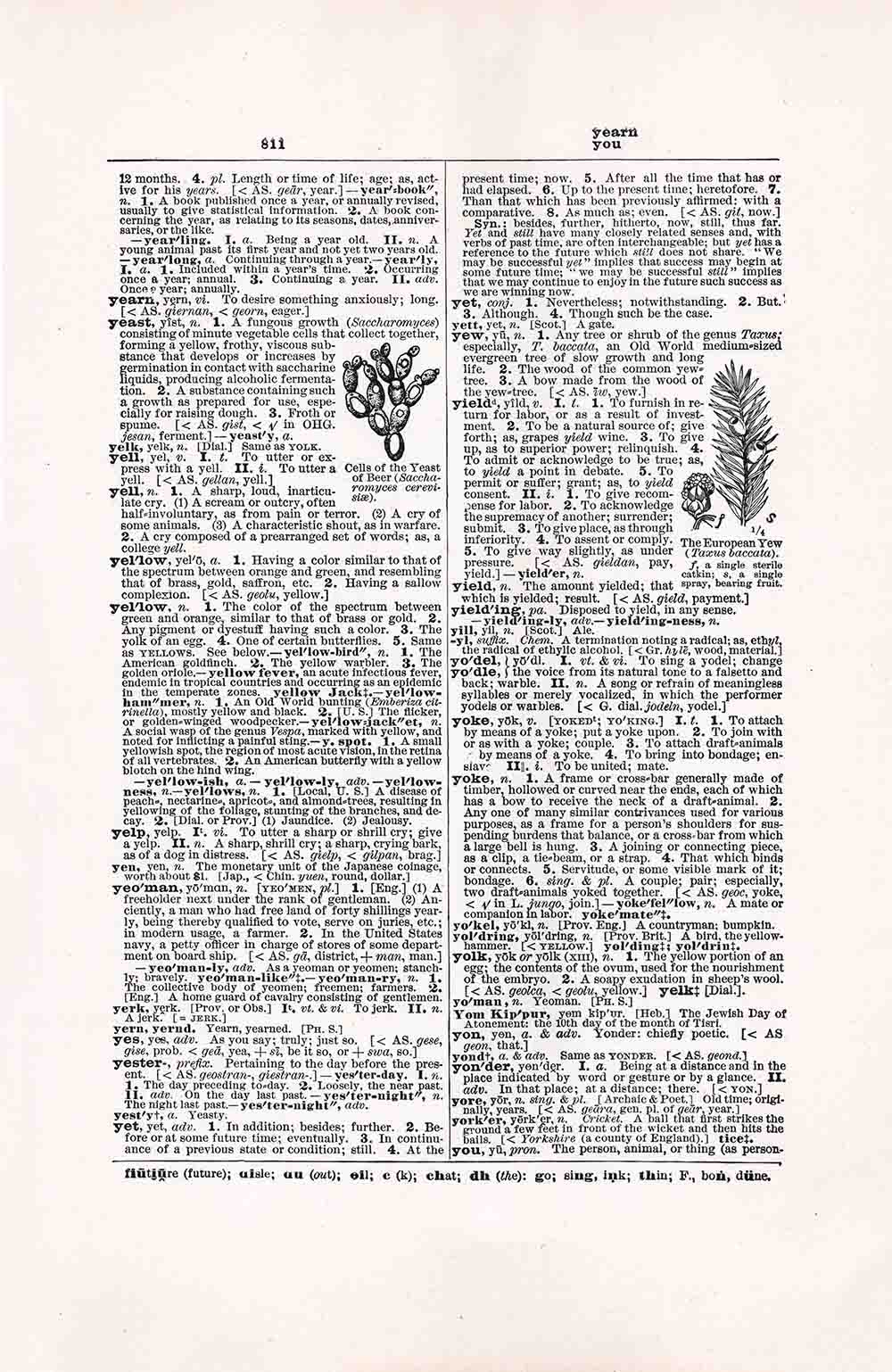 Dictionary Page Year You Fwd811 Web