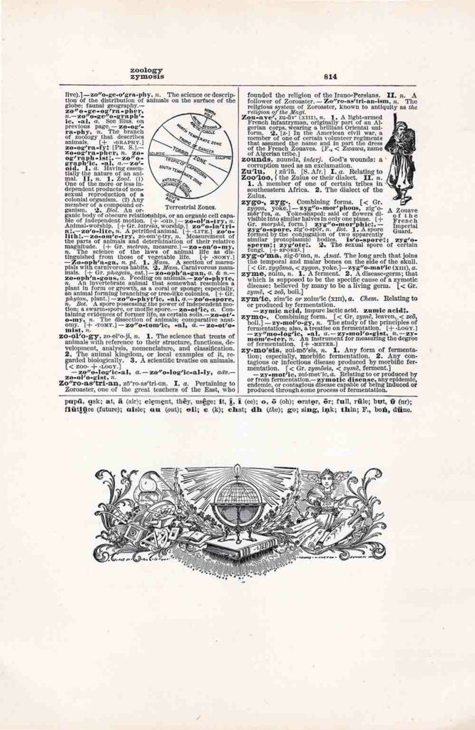 Dictionary Page Zoology Fwd814 Web